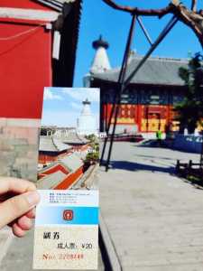 白塔寺门票预约?白塔寺门票免票政策? 第3张 白塔寺门票预约?白塔寺门票免票政策? 第3张