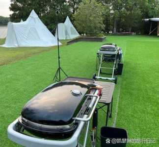 奉贤海湾森林公园门票?奉贤海湾森林公园门票老人有优惠吗? 第2张 奉贤海湾森林公园门票?奉贤海湾森林公园门票老人有优惠吗? 第2张