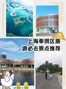 奉贤海湾森林公园门票?奉贤海湾森林公园门票老人有优惠吗? 第3张 奉贤海湾森林公园门票?奉贤海湾森林公园门票老人有优惠吗? 第3张