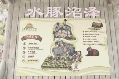 北京野生动物园门票多少一张,北京野生动物园门票标准? 第2张 北京野生动物园门票多少一张,北京野生动物园门票标准? 第2张