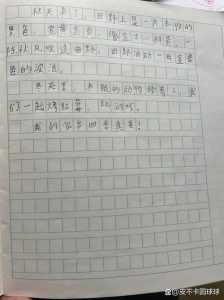 长白山天池死人事件,长白山天池现奇观? 第4张 长白山天池死人事件,长白山天池现奇观? 第4张