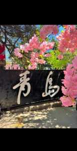 青岛旅游景点攻略,青岛旅游景点攻略路线? 第1张 青岛旅游景点攻略,青岛旅游景点攻略路线? 第1张