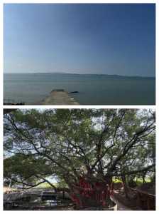 厦门大嶝岛有什么景点,厦门市大嶝岛旅游攻略? 第2张 厦门大嶝岛有什么景点,厦门市大嶝岛旅游攻略? 第2张
