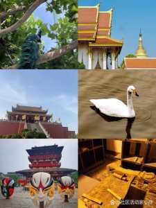 河南旅游景点大全景点介绍,河南旅游景点大全景点介绍视频 第3张 河南旅游景点大全景点介绍,河南旅游景点大全景点介绍视频 第3张