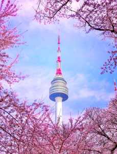 韩国有什么好玩的地方，韩国有什么好玩的地方景点推荐  第2张