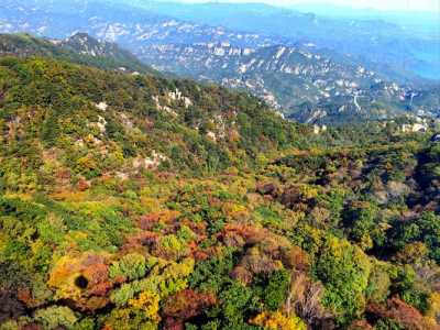 蒙山国家森林公园?蒙山国家森林公园天气? 第3张 蒙山国家森林公园?蒙山国家森林公园天气? 第3张