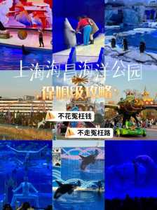 上海海昌海洋公园好玩吗？上海海昌海洋公园游玩记？  第3张