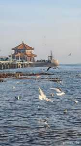 青岛旅游必去景点大全?青岛旅游必玩景点? 第2张 青岛旅游必去景点大全?青岛旅游必玩景点? 第2张