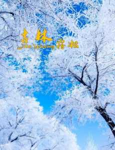 雾凇岛旅游攻略,雾凇岛旅游攻略一日游? 第2张 雾凇岛旅游攻略,雾凇岛旅游攻略一日游? 第2张