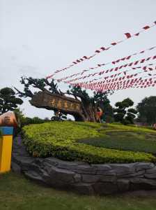 江门海边旅游景点，江门海边旅游景点大全？  第1张