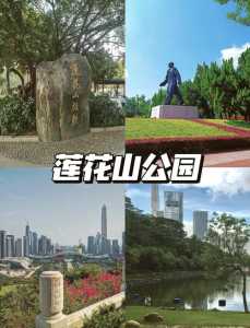 深圳莲花山公园,深圳莲花山公园要门票吗? 第1张 深圳莲花山公园,深圳莲花山公园要门票吗? 第1张
