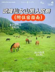 仙女山旅游攻略?仙女山一日游最佳线路图? 第3张 仙女山旅游攻略?仙女山一日游最佳线路图? 第3张