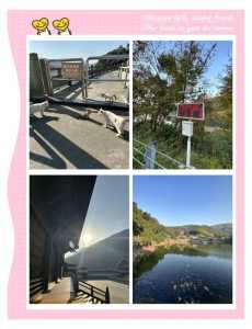宁波九龙湖风景区,宁波九龙湖风景区有什么好玩的? 第4张 宁波九龙湖风景区,宁波九龙湖风景区有什么好玩的? 第4张
