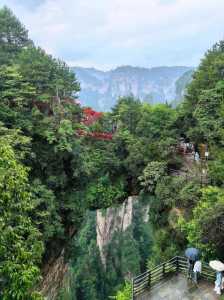 张家界旅游景点全景图?张家界旅游景点全景图天门山? 第1张 张家界旅游景点全景图?张家界旅游景点全景图天门山? 第1张