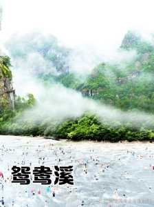 白水洋鸳鸯溪游玩顺序?白水洋鸳鸯溪旅游攻略? 第1张 白水洋鸳鸯溪游玩顺序?白水洋鸳鸯溪旅游攻略? 第1张