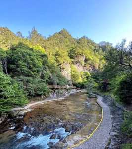白水洋鸳鸯溪游玩顺序?白水洋鸳鸯溪旅游攻略? 第6张 白水洋鸳鸯溪游玩顺序?白水洋鸳鸯溪旅游攻略? 第6张