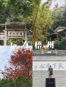 梧州旅游景点介绍,梧州旅游景点介绍英文 第2张 梧州旅游景点介绍,梧州旅游景点介绍英文 第2张