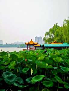 济南景点大全一日游，济南玩一天最值得去的景点？  第2张