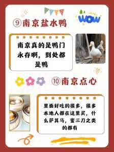 南京必买的前十特产?南京必买的前十特产糕点? 第4张 南京必买的前十特产?南京必买的前十特产糕点? 第4张