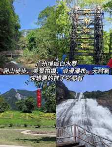 白水寨一日游如何玩,白水寨一天自驾游攻略 第2张 白水寨一日游如何玩,白水寨一天自驾游攻略 第2张