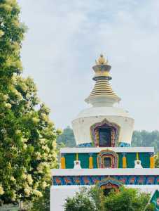塔尔寺旅游十条禁忌?2021年塔尔寺的禁忌? 第2张 塔尔寺旅游十条禁忌?2021年塔尔寺的禁忌? 第2张