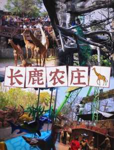 顺德长鹿农庄攻略,顺徳长鹿农庄攻略? 第3张 顺德长鹿农庄攻略,顺徳长鹿农庄攻略? 第3张