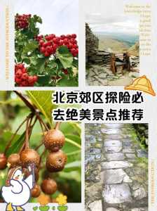 北京郊区好玩的地方排名?北京郊区比较好玩的地方? 第2张 北京郊区好玩的地方排名?北京郊区比较好玩的地方? 第2张