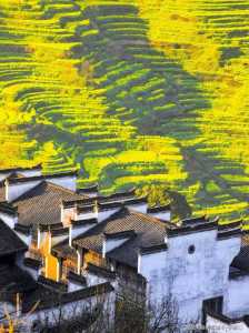 婺源必去的三个景点，婺源必去的三个景点门票费用  第2张