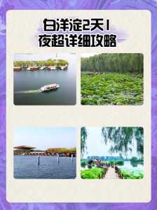 白洋淀景区开放时间?白洋淀景区对外开放了吗? 第3张 白洋淀景区开放时间?白洋淀景区对外开放了吗? 第3张