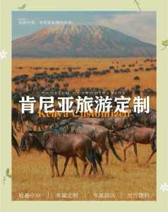 肯尼亚旅游安全吗,肯尼亚自驾游安全吗? 第6张 肯尼亚旅游安全吗,肯尼亚自驾游安全吗? 第6张