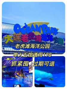 大连老虎滩团购门票,大连老虎滩门票怎么买便宜 第2张 大连老虎滩团购门票,大连老虎滩门票怎么买便宜 第2张