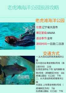 大连老虎滩团购门票,大连老虎滩门票怎么买便宜 第3张 大连老虎滩团购门票,大连老虎滩门票怎么买便宜 第3张