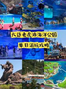 大连老虎滩团购门票,大连老虎滩门票怎么买便宜 第4张 大连老虎滩团购门票,大连老虎滩门票怎么买便宜 第4张