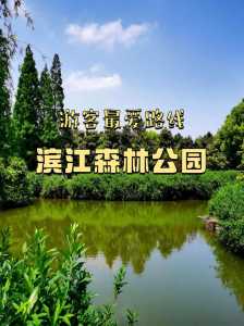 上海滨江森林公园游玩攻略,上海滨江森林公园门票多少钱? 第2张 上海滨江森林公园游玩攻略,上海滨江森林公园门票多少钱? 第2张