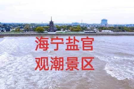 海宁盐官观潮景区门票，海宁盐官观潮景区门票优惠政策  第5张