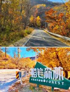 怀柔风景区旅游景点，怀柔风景区有哪些好玩的地方  第2张