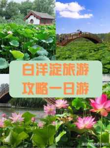 白洋淀免费游玩攻略?白洋淀门票攻略? 第3张 白洋淀免费游玩攻略?白洋淀门票攻略? 第3张