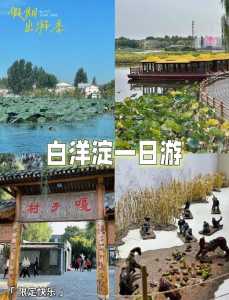 白洋淀免费游玩攻略?白洋淀门票攻略? 第4张 白洋淀免费游玩攻略?白洋淀门票攻略? 第4张