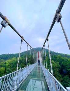 石燕湖生态旅游景区,石燕湖生态旅游景区门票费用多少 第5张 石燕湖生态旅游景区,石燕湖生态旅游景区门票费用多少 第5张