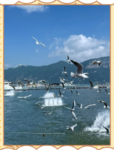昆明一日游最佳景点,昆明旅游攻略景点必去 第2张 昆明一日游最佳景点,昆明旅游攻略景点必去 第2张