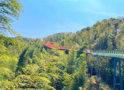 蜀南竹海住哪里最方便?蜀南竹海旅游住宿攻略? 第2张 蜀南竹海住哪里最方便?蜀南竹海旅游住宿攻略? 第2张