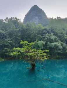 贵州荔波自驾游攻略？荔波自驾游经验介绍？  第4张