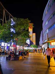深圳最繁华的地方，深圳市区最繁华的地方  第2张