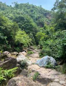 佛山南海湾森林生态园,佛山南海湾森林生态园好玩吗? 第1张 佛山南海湾森林生态园,佛山南海湾森林生态园好玩吗? 第1张