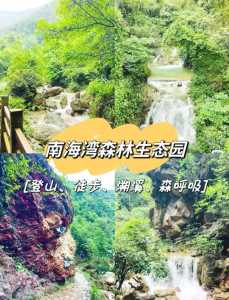 佛山南海湾森林生态园,佛山南海湾森林生态园好玩吗? 第2张 佛山南海湾森林生态园,佛山南海湾森林生态园好玩吗? 第2张