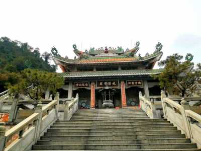 佛山南海湾森林生态园,佛山南海湾森林生态园好玩吗? 第3张 佛山南海湾森林生态园,佛山南海湾森林生态园好玩吗? 第3张