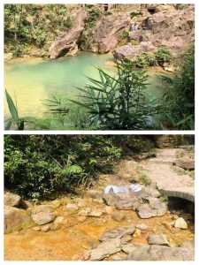 佛山南海湾森林生态园,佛山南海湾森林生态园好玩吗? 第5张 佛山南海湾森林生态园,佛山南海湾森林生态园好玩吗? 第5张