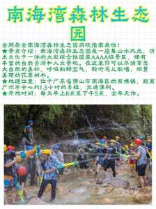 佛山南海湾森林生态园,佛山南海湾森林生态园好玩吗? 第6张 佛山南海湾森林生态园,佛山南海湾森林生态园好玩吗? 第6张
