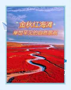辽宁盘锦红海滩门票,盘锦红海滩门票2021 第2张 辽宁盘锦红海滩门票,盘锦红海滩门票2021 第2张
