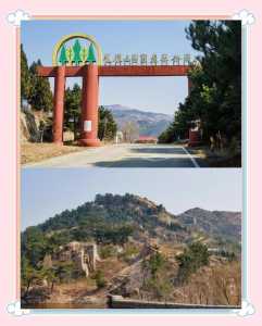 徂徕山国家森林公园?徂徕山国家森林公园是几A? 第2张 徂徕山国家森林公园?徂徕山国家森林公园是几A? 第2张